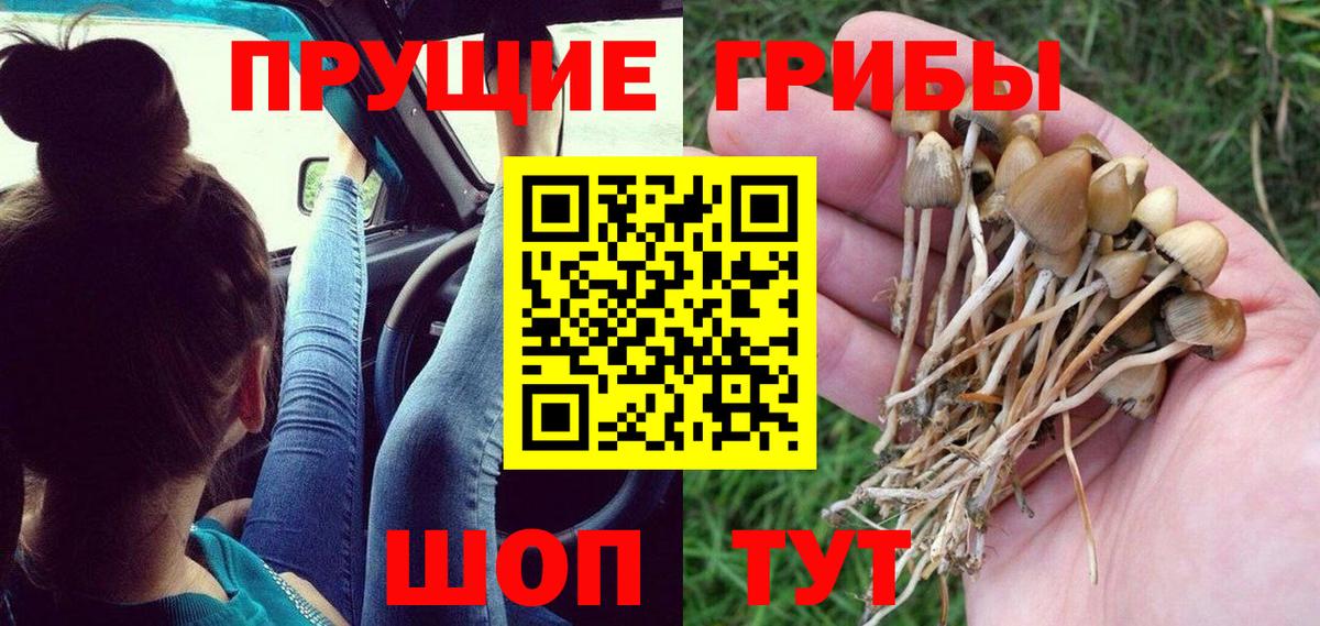 Галлюциногенные грибы ЛСД  Вход с VPN  Галлюциногенные грибы Psilocybe  закладки  Балтийск 